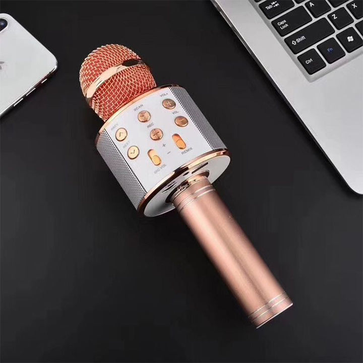 Wireless Karaoke Microphone with Bluetooth | Kalsten