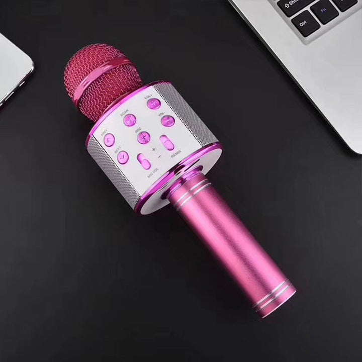 Wireless Karaoke Microphone with Bluetooth | Kalsten