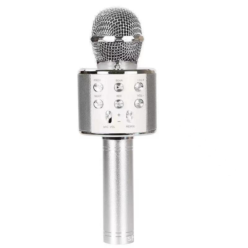 Wireless Karaoke Microphone with Bluetooth | Kalsten