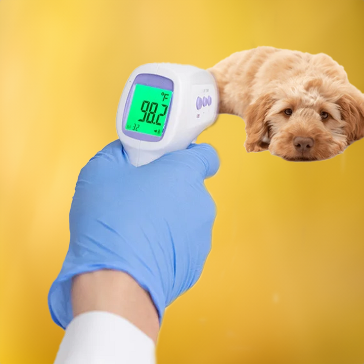 Kalsten | No-Contact Dog Thermometer with One Click Reading