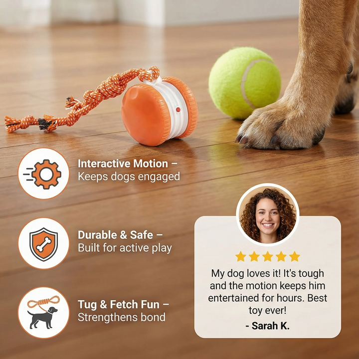 Interactive & Durable Dog Ball – Motion Toy with Tug Rope in Dog Colours Kalsten