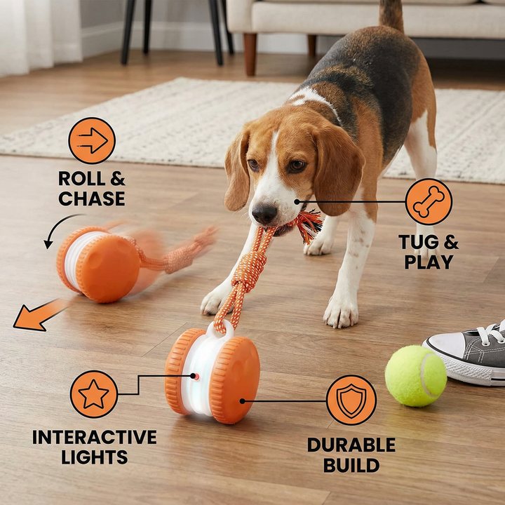 Interactive & Durable Dog Ball – Motion Toy with Tug Rope in Dog Colours Kalsten