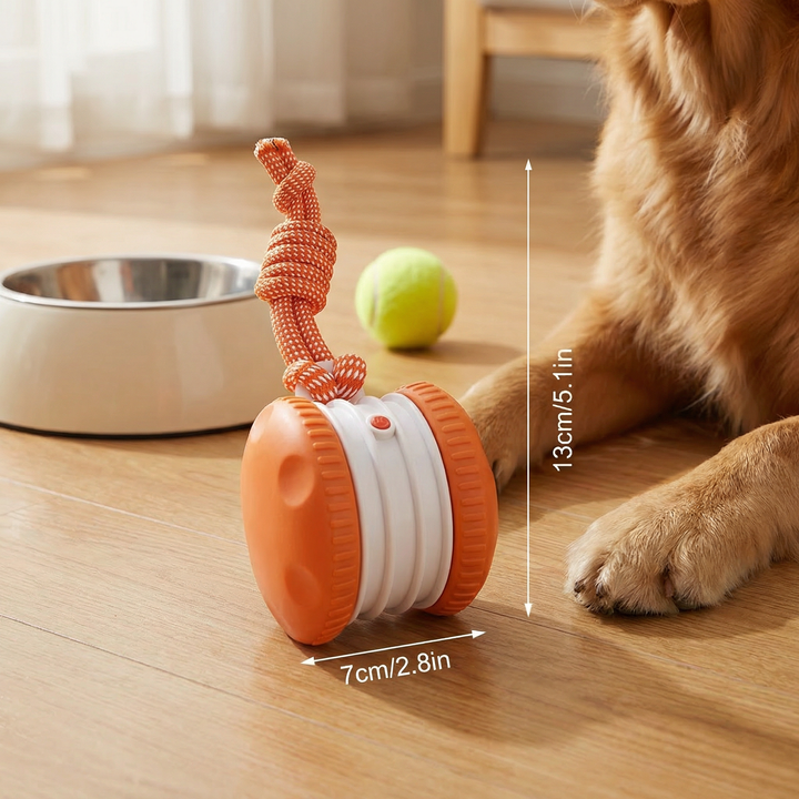 Interactive & Durable Dog Ball – Motion Toy with Tug Rope in Dog Colours Kalsten